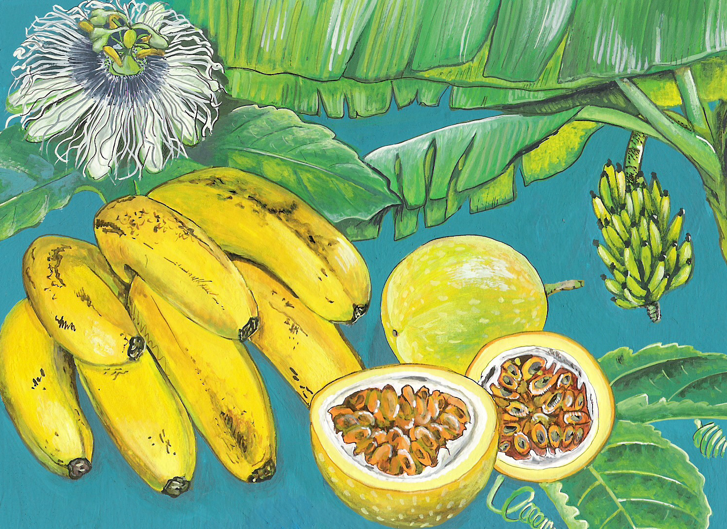 Bananepommeliane