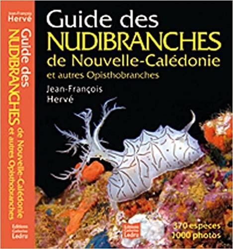 Nudibranches herve